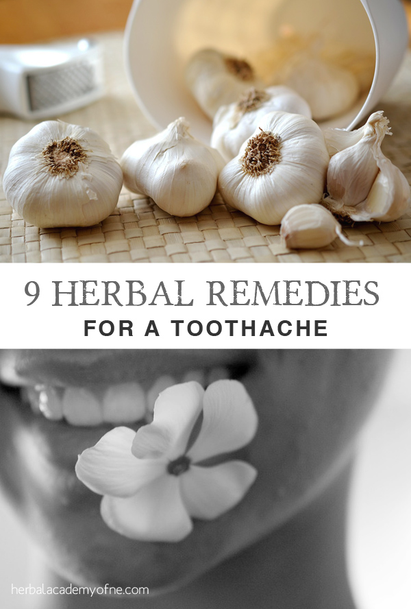 9 Herbal Remedies for a Toothache on the Herbal Academy blog