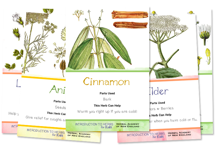 Herbal Flashcards for Kids - Download for Free