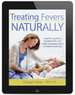 Treating Fevers Naturally ebook