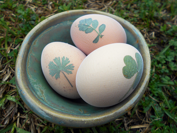 Easter eggs in a bowl