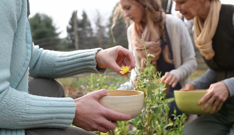 Building Relationships with Plants - Herbs Work as our Companions