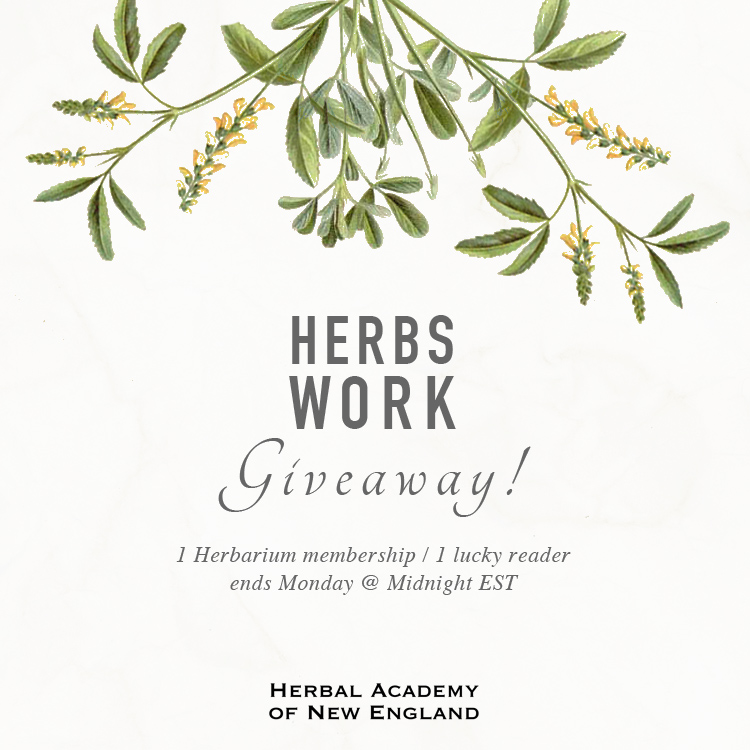 Herbs Work Giveaway by the Herbal Academy