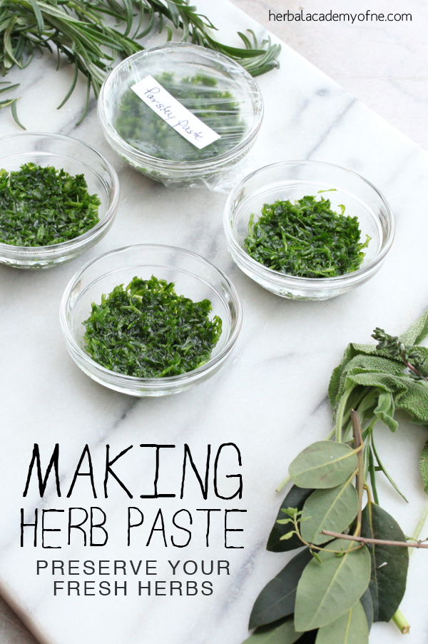 Making Herb Paste - Preserve your Fresh Herbs