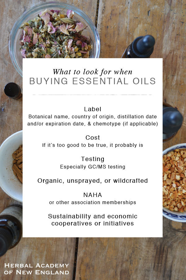 What to Look for When Buying Quality Essential Oils