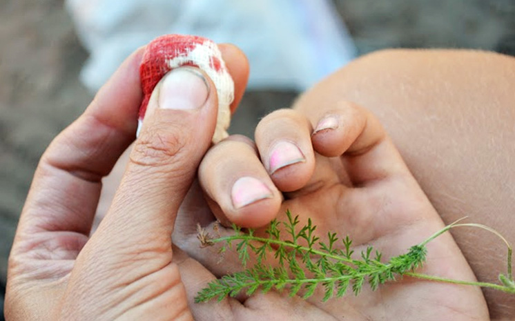 Making poultices and compresses for children - Herbal series for Kids!