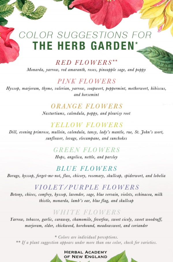 Designing an Herb Garden - Color Suggestions for the Herb Garden