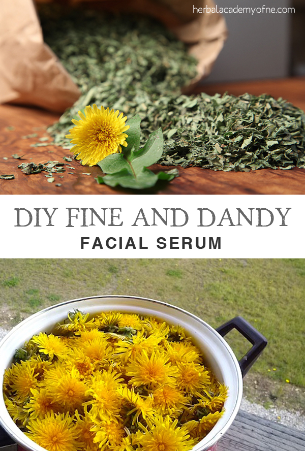 DIY Dandelion Facial Serum