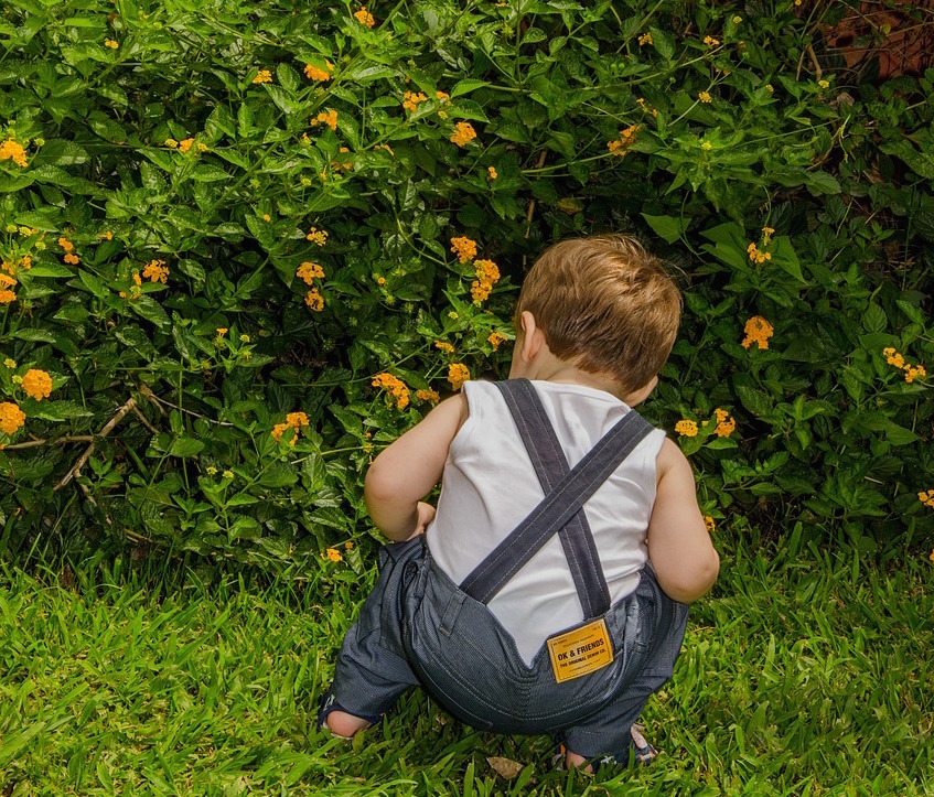 For Kids - Start Your Very Own Herb Garden