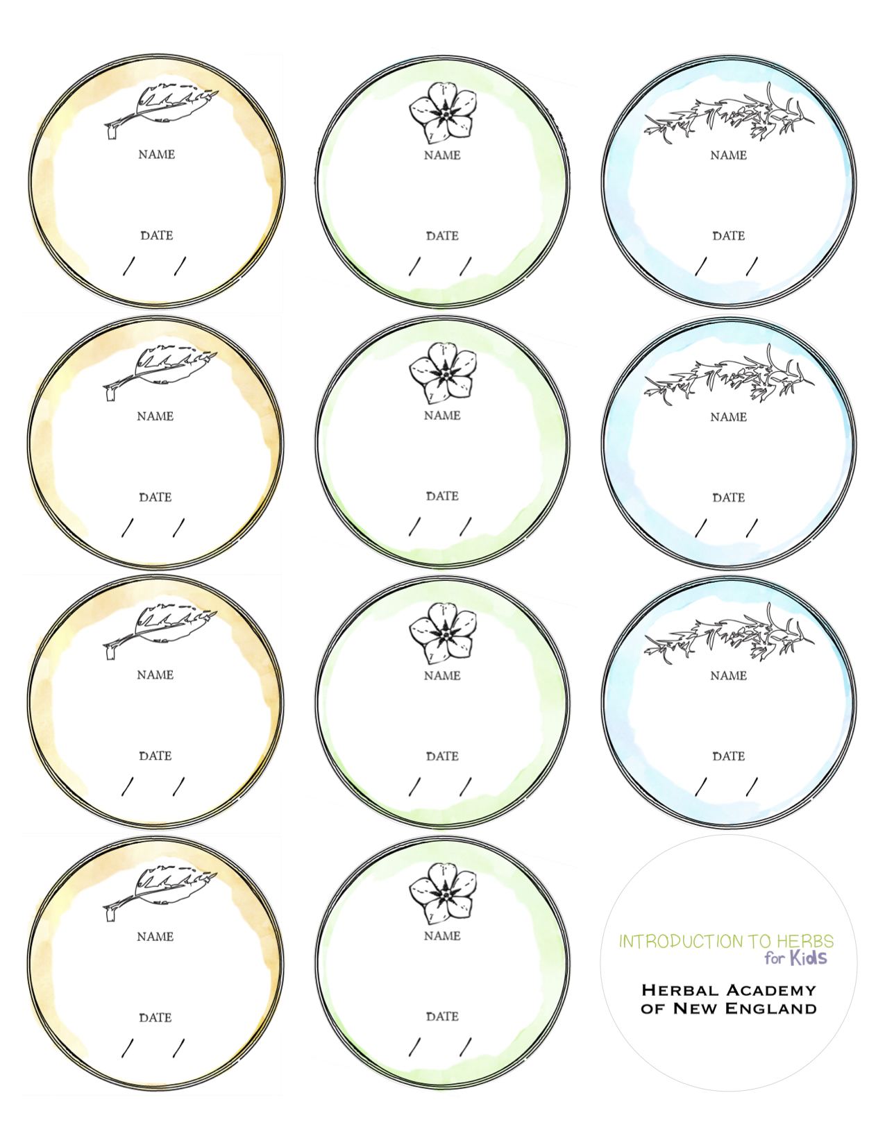 Free Labels for Dried Herbs - Avery label 5294