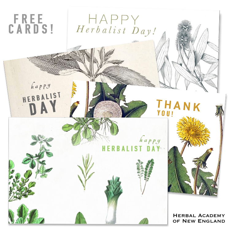 Thank An Herbalist Day | Herbal Academy | Thank an Herbalist Day on April 17th gives us the perfect opportunity to share with the people who have helped shaped us! Print these cards or give a gift!