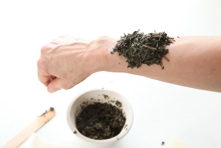 How To Make A Poultice With Dried And Fresh Herbs 7709