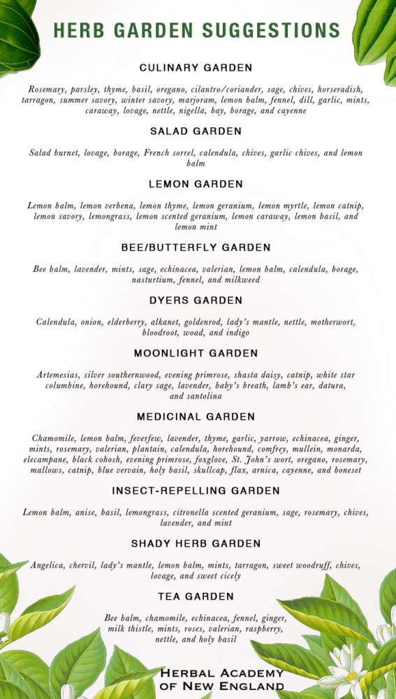 Designing An Herb Garden - Herb Gardening Suggestions
