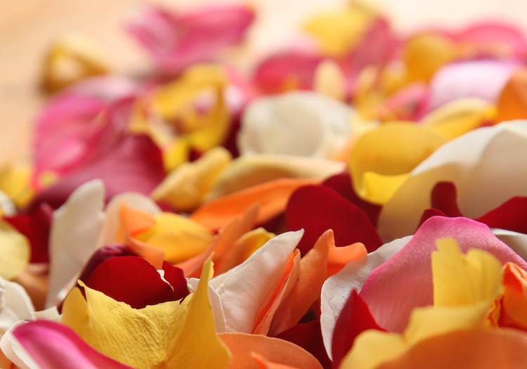 Rose Petals for Making Country Wine