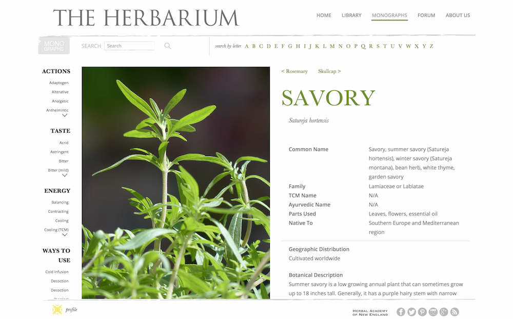 Savory Monograph from The Herbarium
