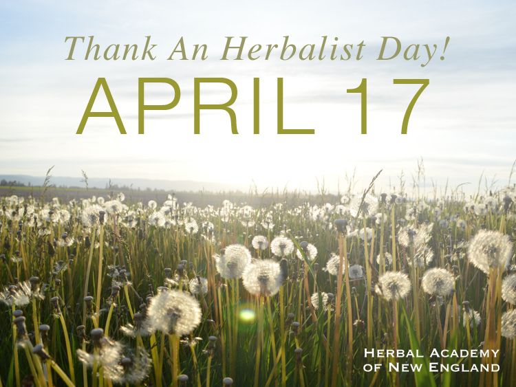 Thank An Herbalist Day | Herbal Academy | Thank an Herbalist Day on April 17th gives us the perfect opportunity to share with the people who have helped shaped us! Print these cards or give a gift!