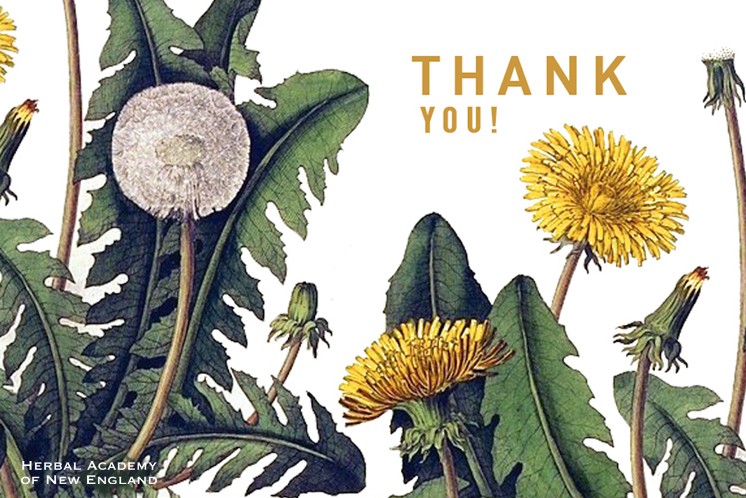 Thank you from the Herbal Academy - Thank an herbalist day