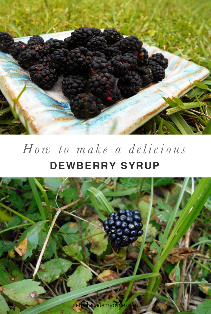 How to Make a Delicious Dewberry Syrup