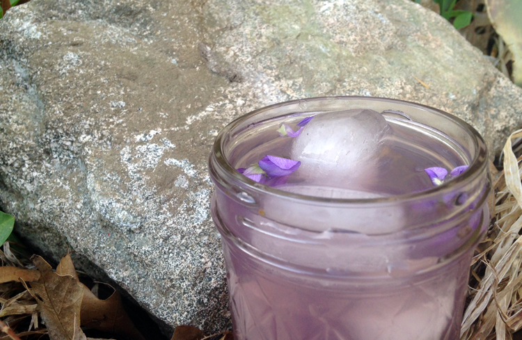 Refreshing Violet Lemonade | Herbal Academy | This refreshing violet lemonade recipe can be especially helpful for children, as they might resist a tincture but will happily drink lemonade!