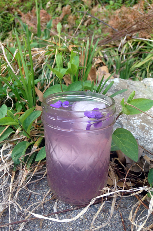 Refreshing Violet Lemonade | Herbal Academy | This refreshing violet lemonade recipe can be especially helpful for children, as they might resist a tincture but will happily drink lemonade!