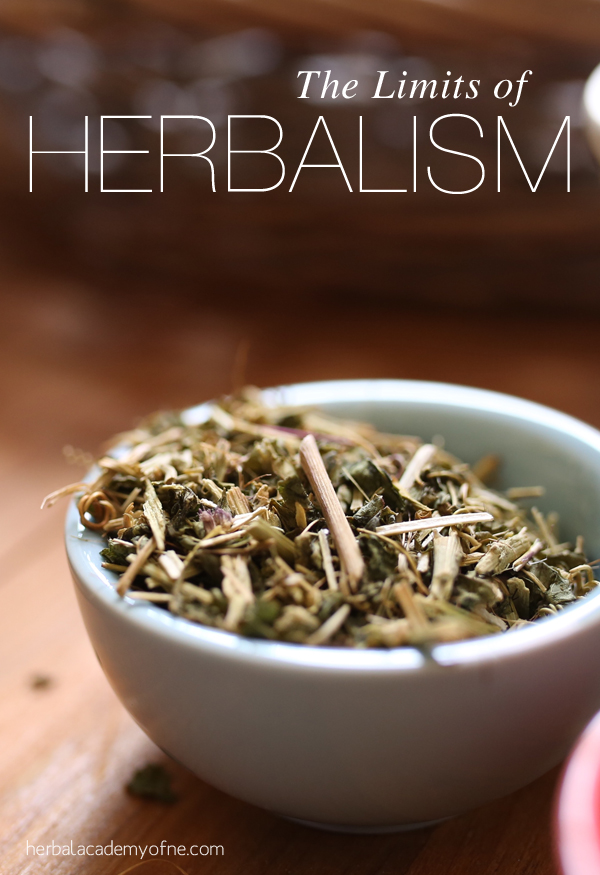 The Limits of Herbalism and Herbal Education