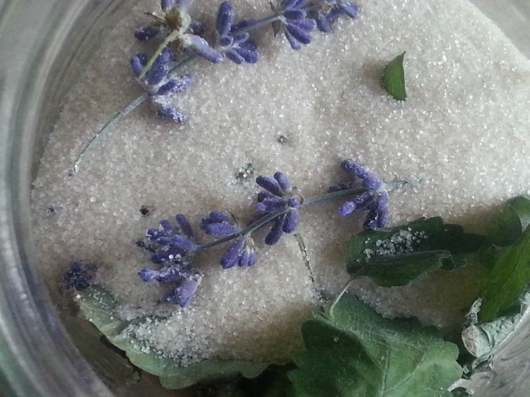 Lemon balm lavender sugar: topping for delicious scones