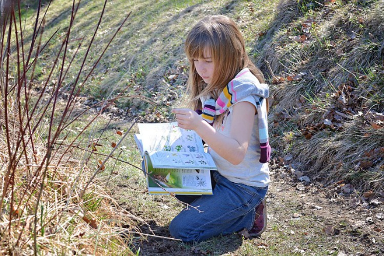 Create An Herbarium With Your Child