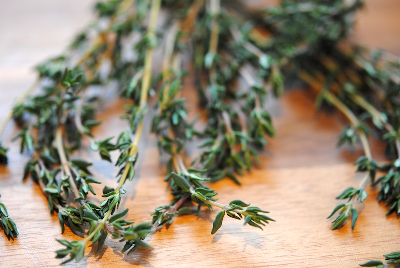 Freezing fresh herbs from the garden - thyme, basil, rosemary, bay