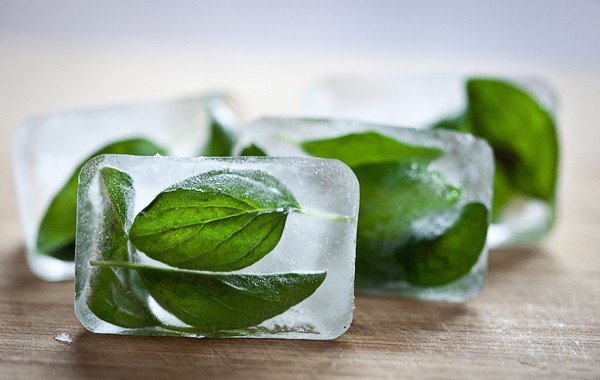 Preserving Herbs by Freezing: Oregano Ice Cubes