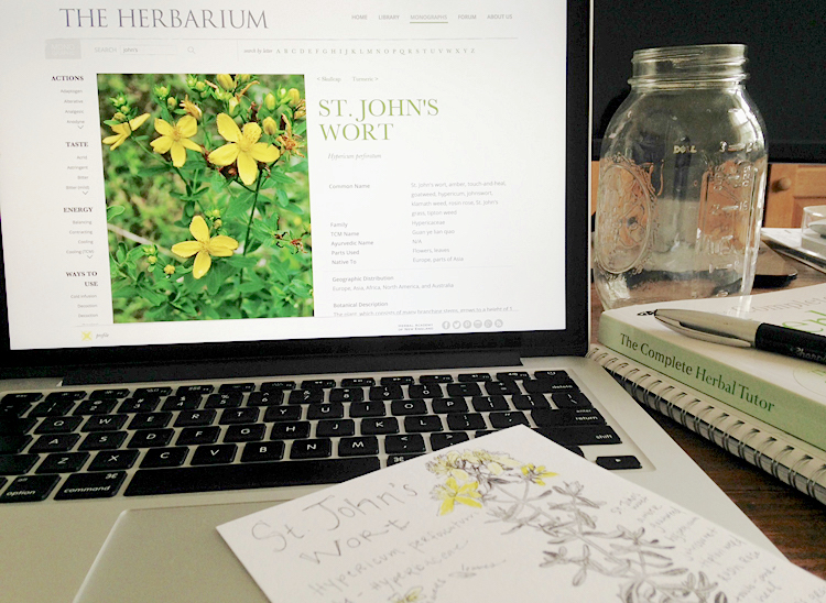 The Herbarium is a useful tool for building your Materia Medica