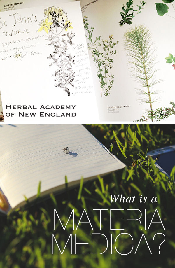 What is a Materia Medica and How to Craft One - Herbal Academy