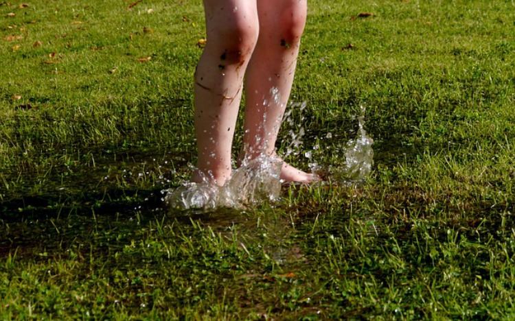 Summertime Foot Care Tips For Kids: Herbal tips