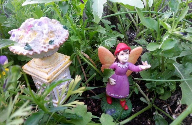 Fairy Herb Garden