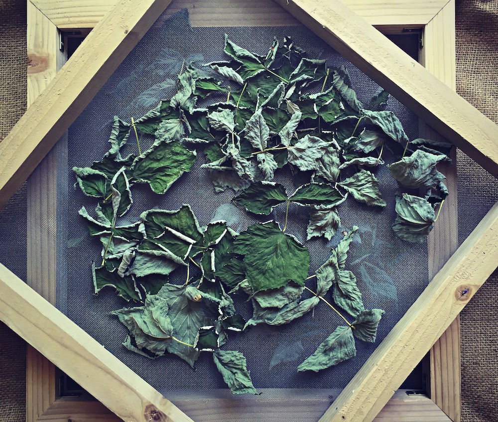 How to Make an Herb and Flower Drying Screen