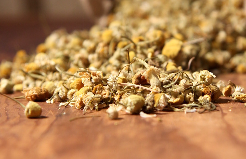 Chamomile Flowers - Uses of the Chamomile Plant