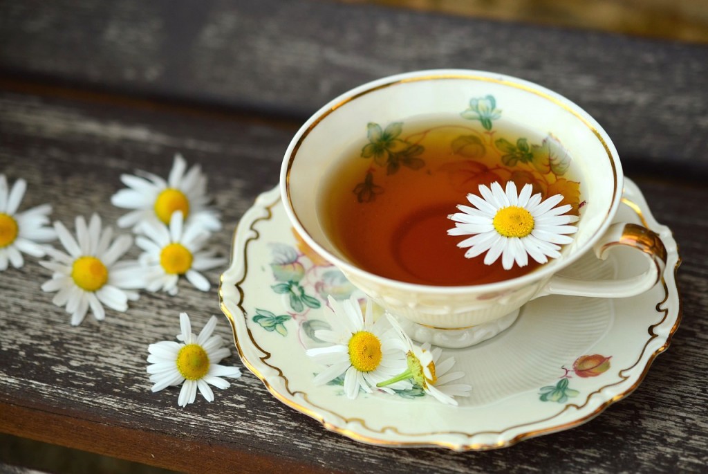 Chamomile Uses and Remedies - pd