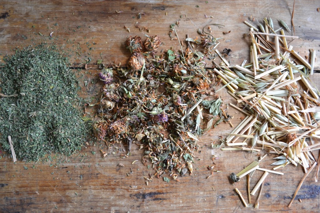 Organizing your Herbal Apothecary