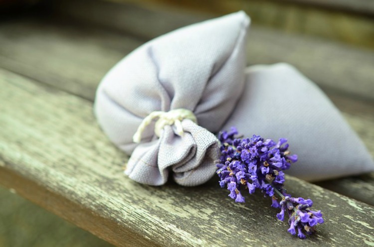 The Benefits Of Lavender In The Family Home: Cleaning With Lavender