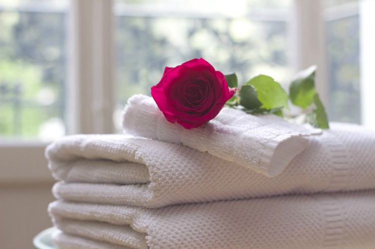 The Comforts Of Rose For Body Care