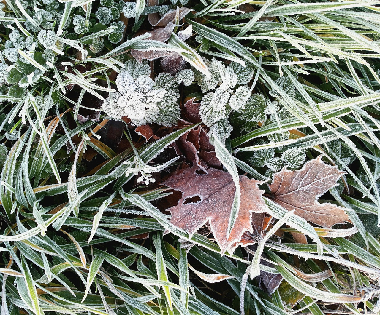 Giving Thanks for the Fall Harvest