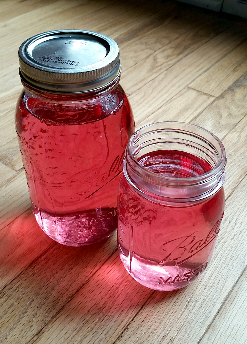 Making Rose Petal Water - Herbal Academy blog