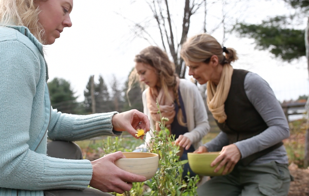 Ultimate Healthy Living Bundle Sale is going on now thru Sept 14! For $29.97, you get access to The Herbarium membership (Plant Database) along with 90 other Healthy Living Resources from ebooks to ecourses!