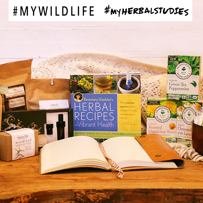 My Wild Life Giveaway with Traditional Medicinals #myherbalstudies #mywildlife