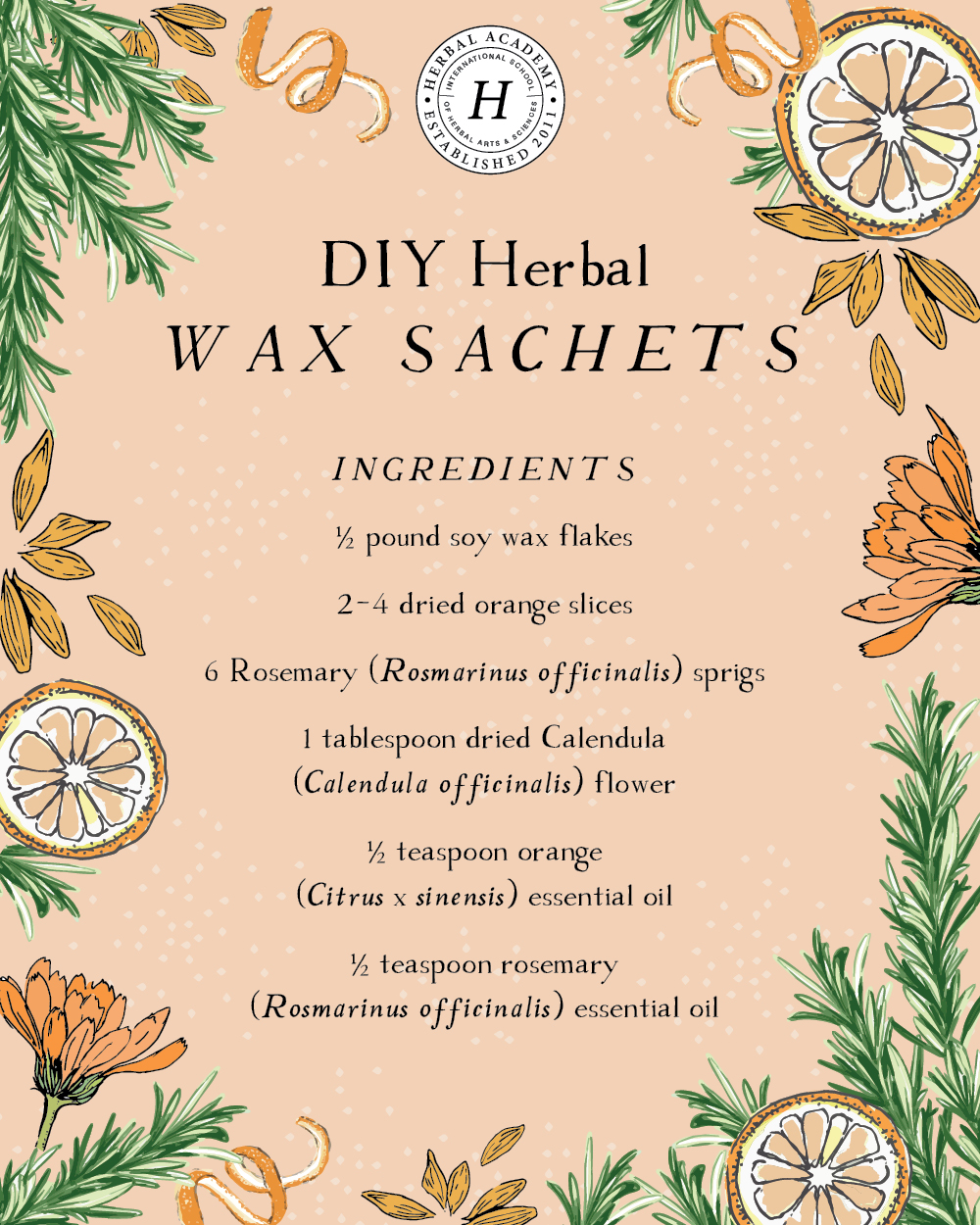 Diy Herbal Wax Sachets For The Home And Gifting