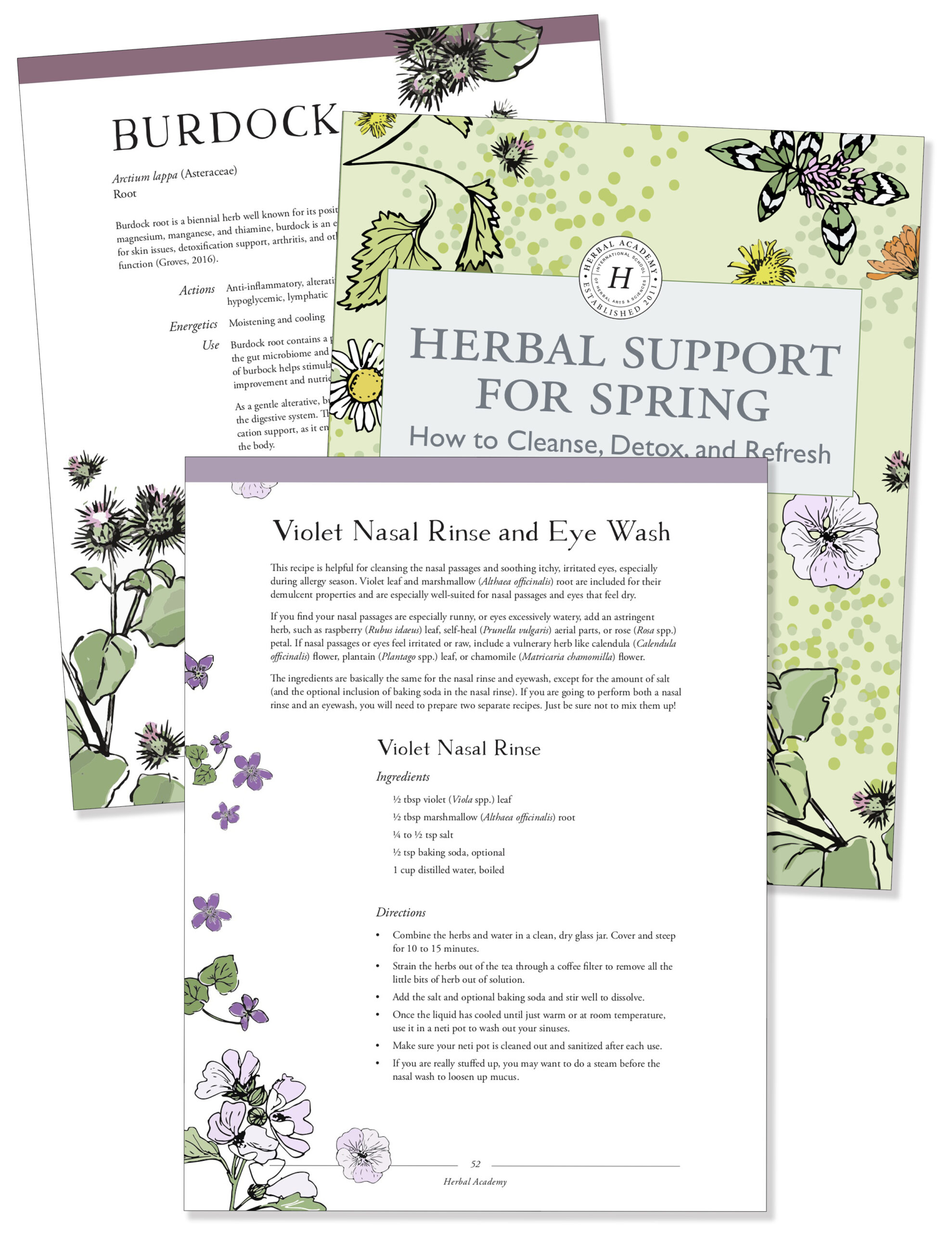 Herbal Support for Spring - Detox und Refresh Ebook von Herbal Academy