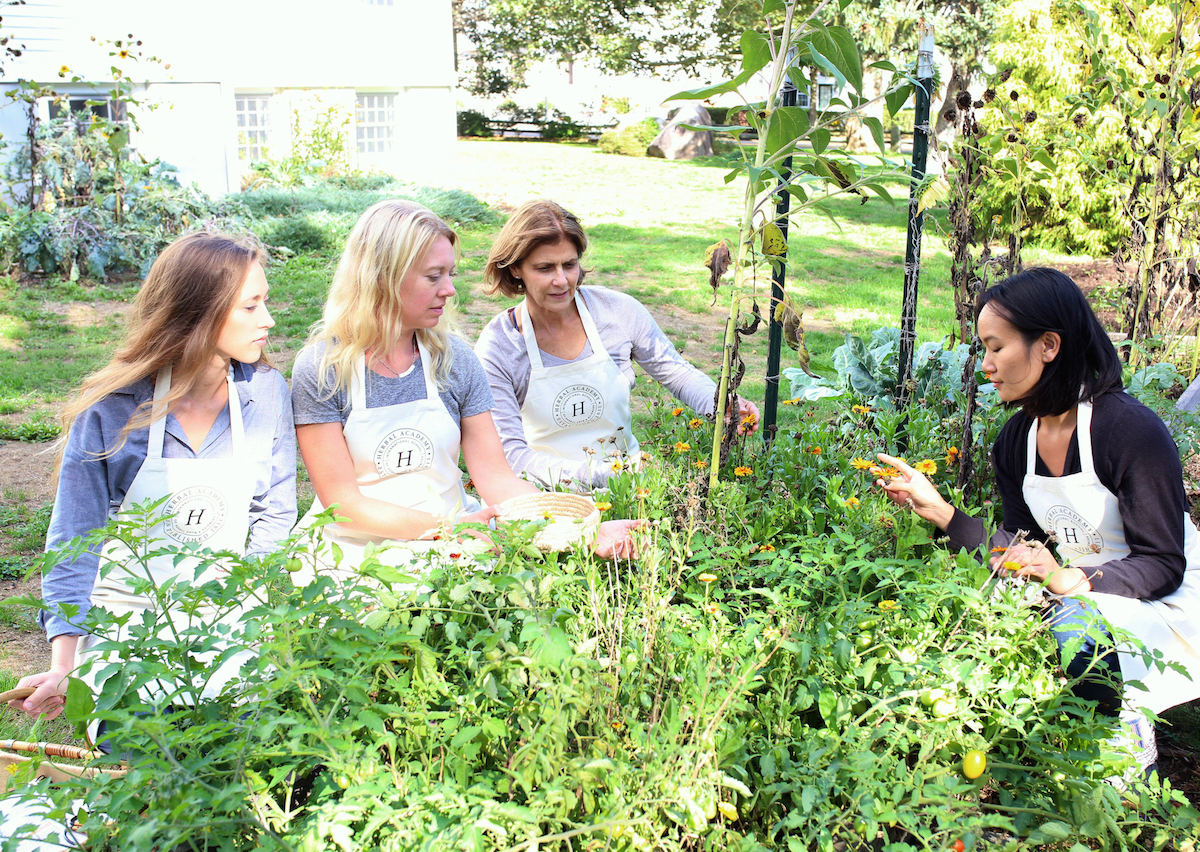 Herbal Academy team members looking at herbs outside