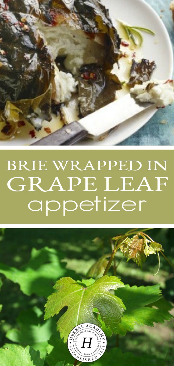 Brie Wrapped in Grape Leaf Appetizer | Herbal Academy | Enjoy this delicious, easy-to-make Brie and grape leaf appetizer recipe. This is perfect for simple get togethers or elaborate pitch in meals.