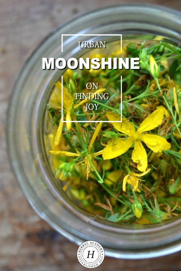 Urban Moonshine on Finding Joy | Herbal Academy | Join guest speaker, Jovial King, as she speaks on using herbs for bring joy into everyday life.