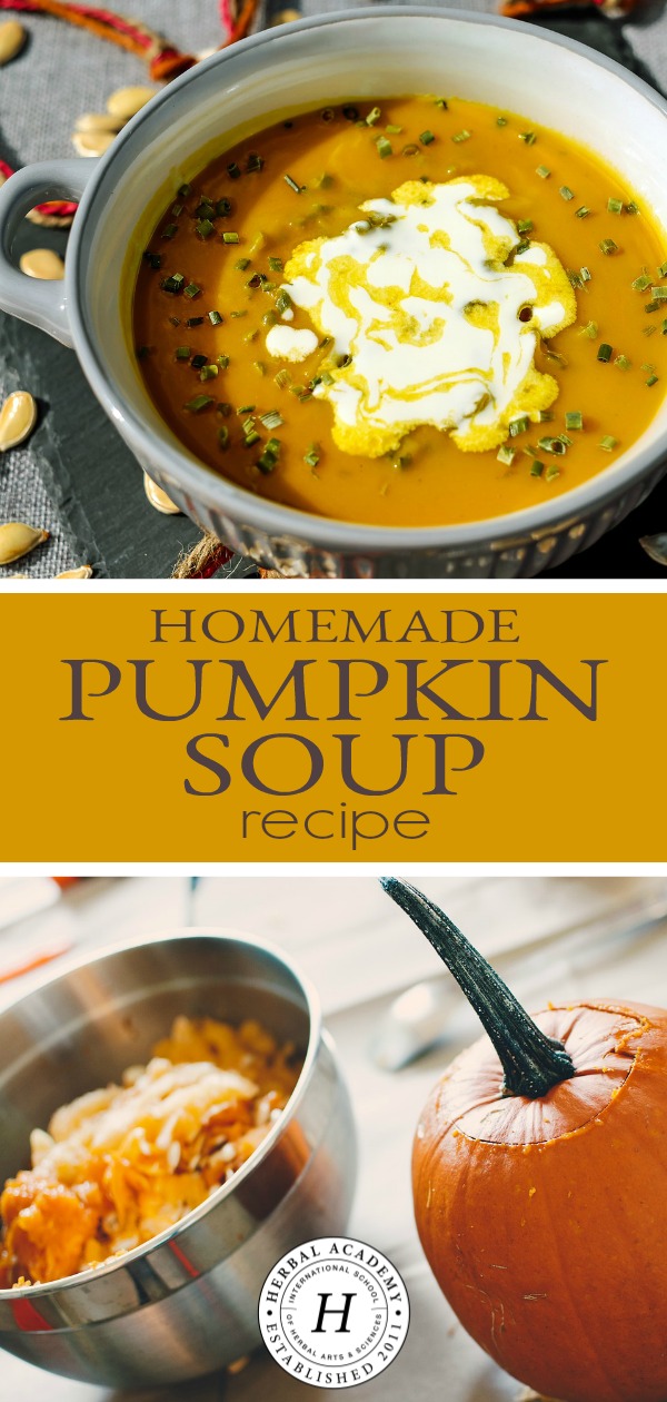 Homemade Pumpkin Soup Recipe | Herbal Academy | Healthy, vegetarian homemade pumpkin soup recipe created by the director at the Herbal Academy of New England, Marlene Adelmann.