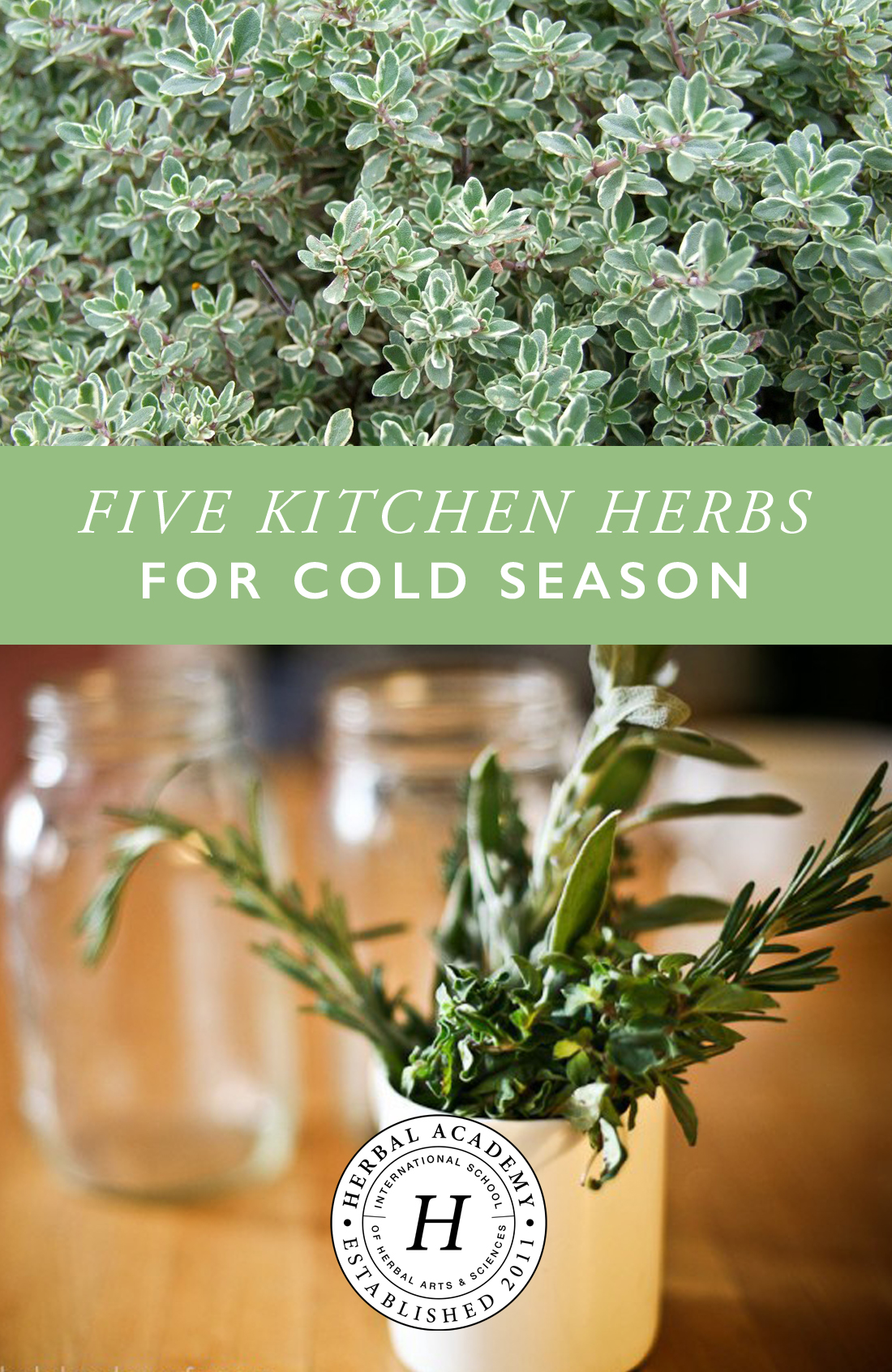 FIVE KITCHEN HERBS FOR COLD SEASON