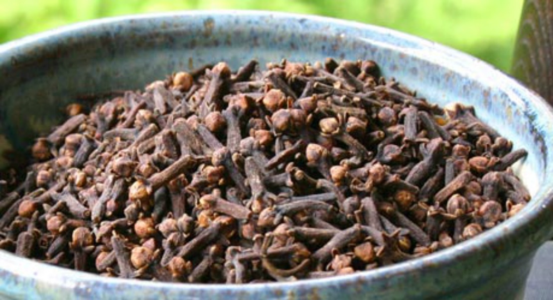 bowl of dried cloves